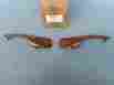 32amg Mercedes-benz Renntech 1996-2004 Slk-class 230 320 Eucalyptus Wood Door Pull Kit 0160 0260