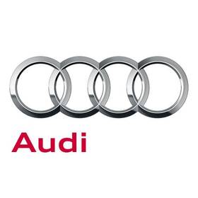 8y0-857-644-mg6 Audi Genuine Assist Strap