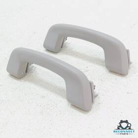 09450213 Bmw 12-19 328i M3 F30 Rear Left And Right Upper Interior Grab Handle Bar Set Oem