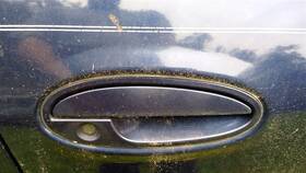 129-00208r Chevrolet Passenger Door Handle Exterior Front Opt 9c1 Fits 00-05 Impala 208451