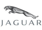 Gja1100bdaek Handle Jaguar Xk8-interior Door Oem 97-06