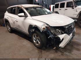 129-10900l Hyundai Driver Door Handle Exterior Assembly Body Color Front Fits 22-23 Tucson 616954 129-10900l Hyundai Driver Door Handle Exterior Assembly Body Color Front Fits 22-23 Tucson 616954