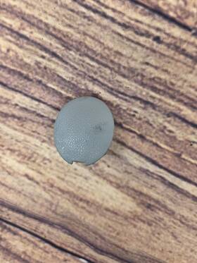 Oc120 Toyota 67772 2001 2002 2003 2004 2005 Sequoia Rear Left Door Panel Screw Cover Cap Oem