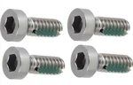 Allen Head Door Window Handle Screw Set 1966-1967 Ford Fairlane & Falcon. Fixed Price $17.09.