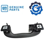 New Oem Jet Black Roof Rail Rear Assist Handle 2011-2022 Gm Vehicles 22829860. Fixed Price $22.36.