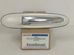 New Oem Genuine Ford Rear Outer Door Handle 2003-2011 Lincoln Town Car White. Fixed Price $50.00.