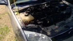Driver Left Rear Window Regulator Electric Fits 00-07 Focus 4424344. Fixed Price $105.89.