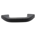 Genuine Ford Interior Grab Bar LB5Z-7831406-AB. Fixed Price $34.19.