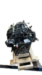 08 09 10 11 Ford Focus Engine Assembly (2.0L Vin 8TH Digit Dohc). Fixed Price $910.80.