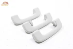 2021 2024 Ford Mustang Mach-e Roof Headliner Grab Grip Handle Oem -set-. Fixed Price $41.24.