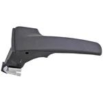 Dorman 81644 Interior Door Handle Front Left Beige. Fixed Price $46.00.