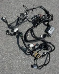 2007-2009 Nissan 350Z Roadster Oem Main Body Engine Bay Wiring Harness Assembly. Fixed Price $249.38.