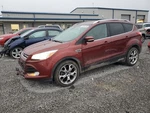 2014 Ford Escape Passenger Front Window Regulator Used 125-03077R 95K Miles. Fixed Price $86.45.