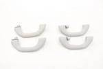2020 - 2022 Volkswagen Passat Interior Roof Grab Handle Set 4 Oem Trim Hl. Fixed Price $44.36.