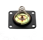 Quick Fuel 35-100QFT Pressure Regulator Diaphragm Kit Includes Spring. Fixed Price $10.31.