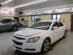 Chevrolet Malibu 2009 Rear Right Door Glass DD11481GT 4361. Fixed Price $84.90.