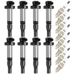 8X For 2004-09 Jaguar Xjr 2005-2009 Land Rover LR3 Ignition Coils & Spark Plugs. Fixed Price $92.41.