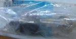 Nos Ford Inner Tie Rod End Assy E8BZ-3280-A 1988-1993 Festiva. Fixed Price $25.00.