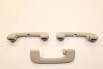 2020-25 Ford Escape Sel Roof Headliner Grab Grip Handle Set LC5Z-5831406-EC. Fixed Price $69.15.