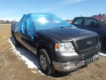 F150 2005 Front Door Trim Panel 2067199. Fixed Price $178.34.